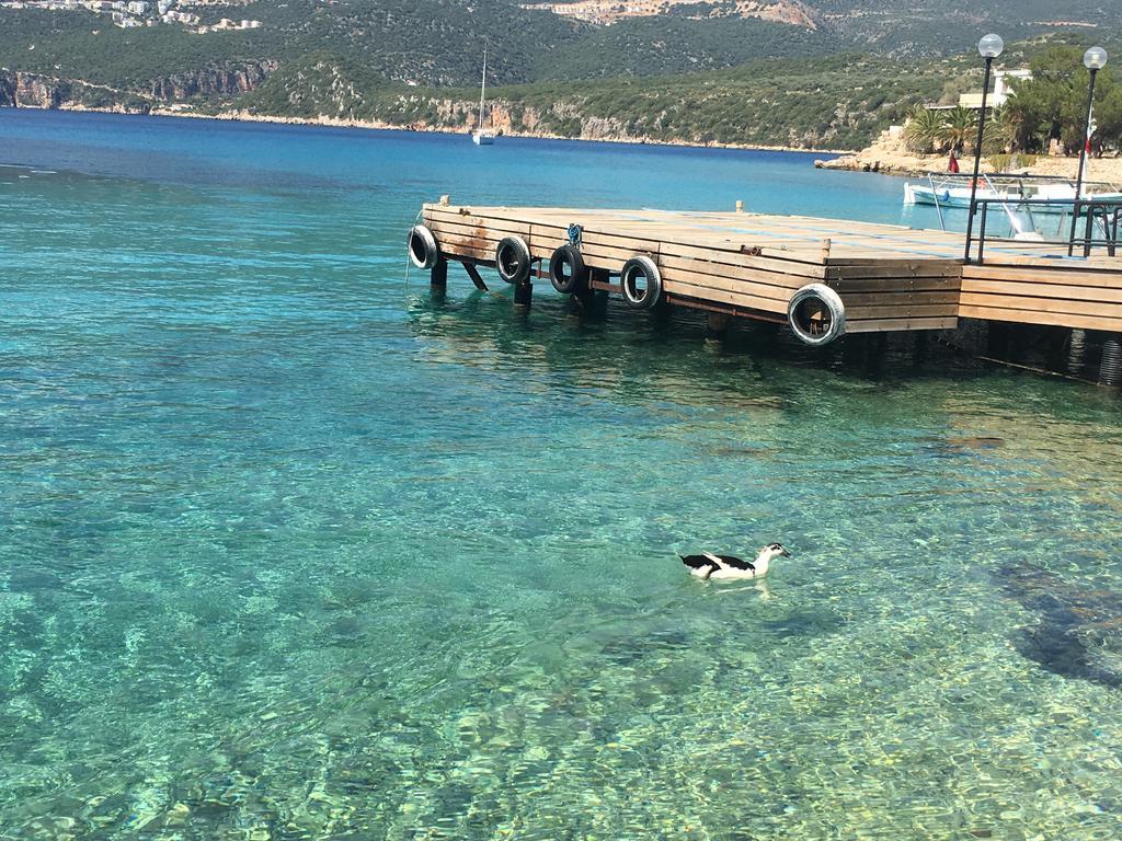 La Moda Beach Hotel Kas Exterior photo